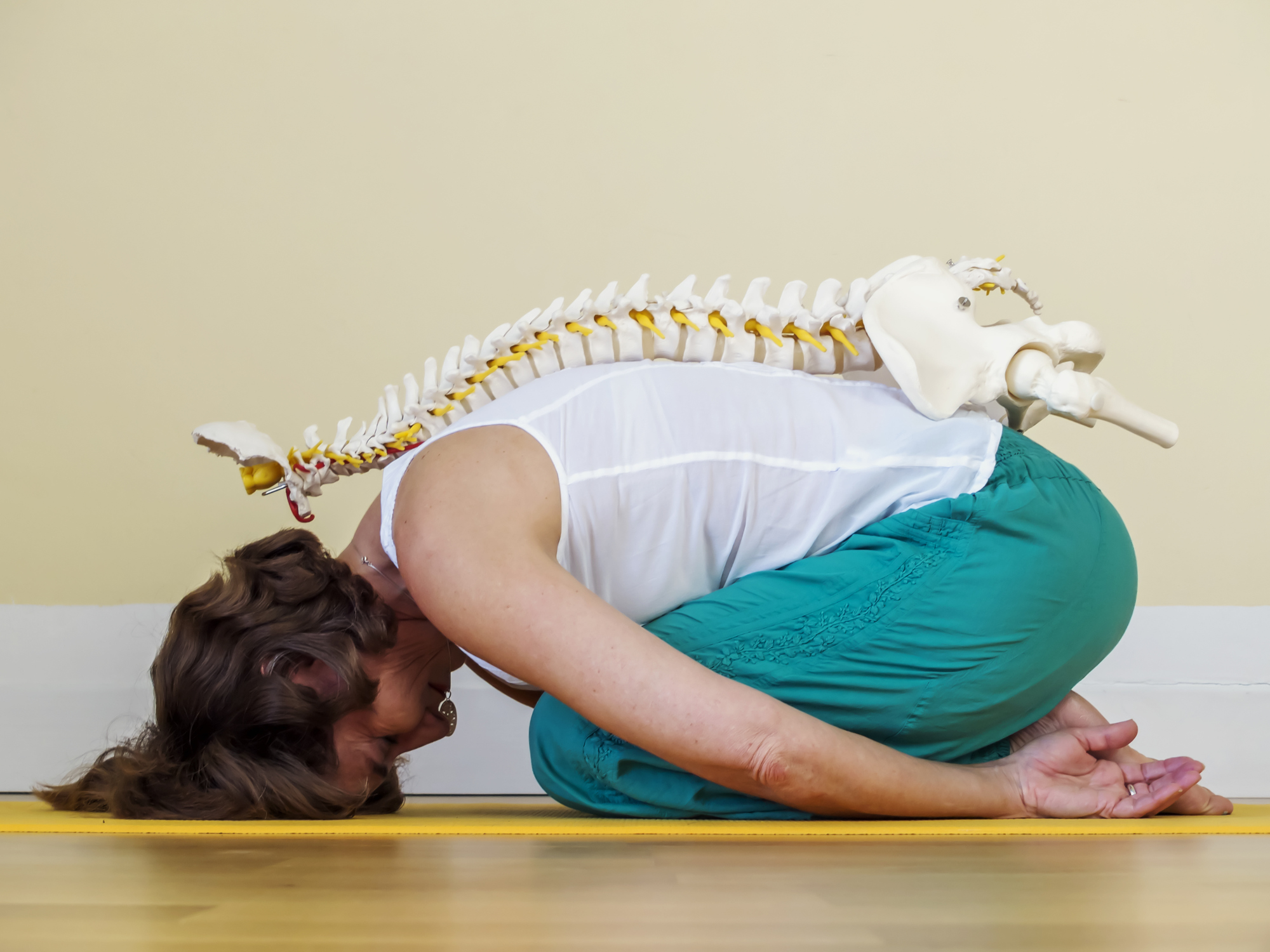 Anatomy In Yoga Teacher Training | GOYA